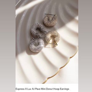 Express X Luv AJ Pave Mini Donut Hoop Earrings